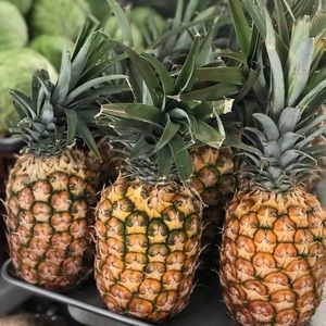 Meet your Posher, Jen